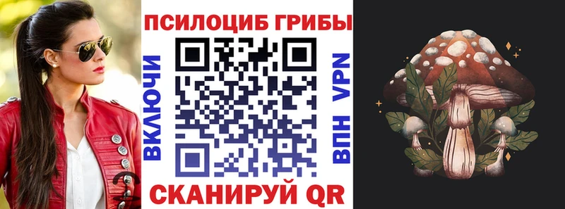 Псилоцибиновые грибы Cubensis Валдай